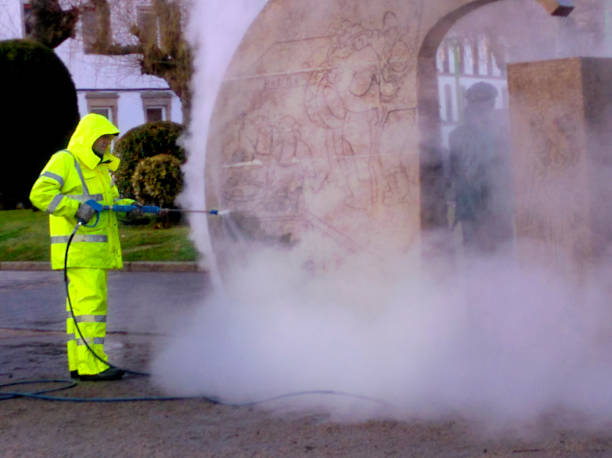 Best Pressure Washing Company Near Me  in Geneseo, IL