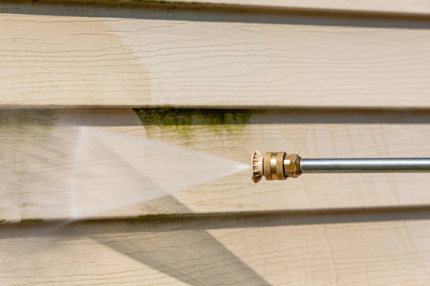 Best Roof Power Washing Services  in Geneseo, IL
